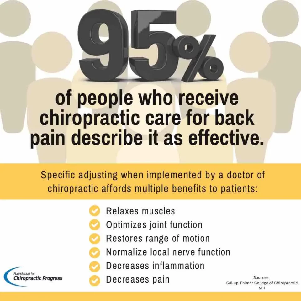 New to Chiropractic - chiropractic statistics