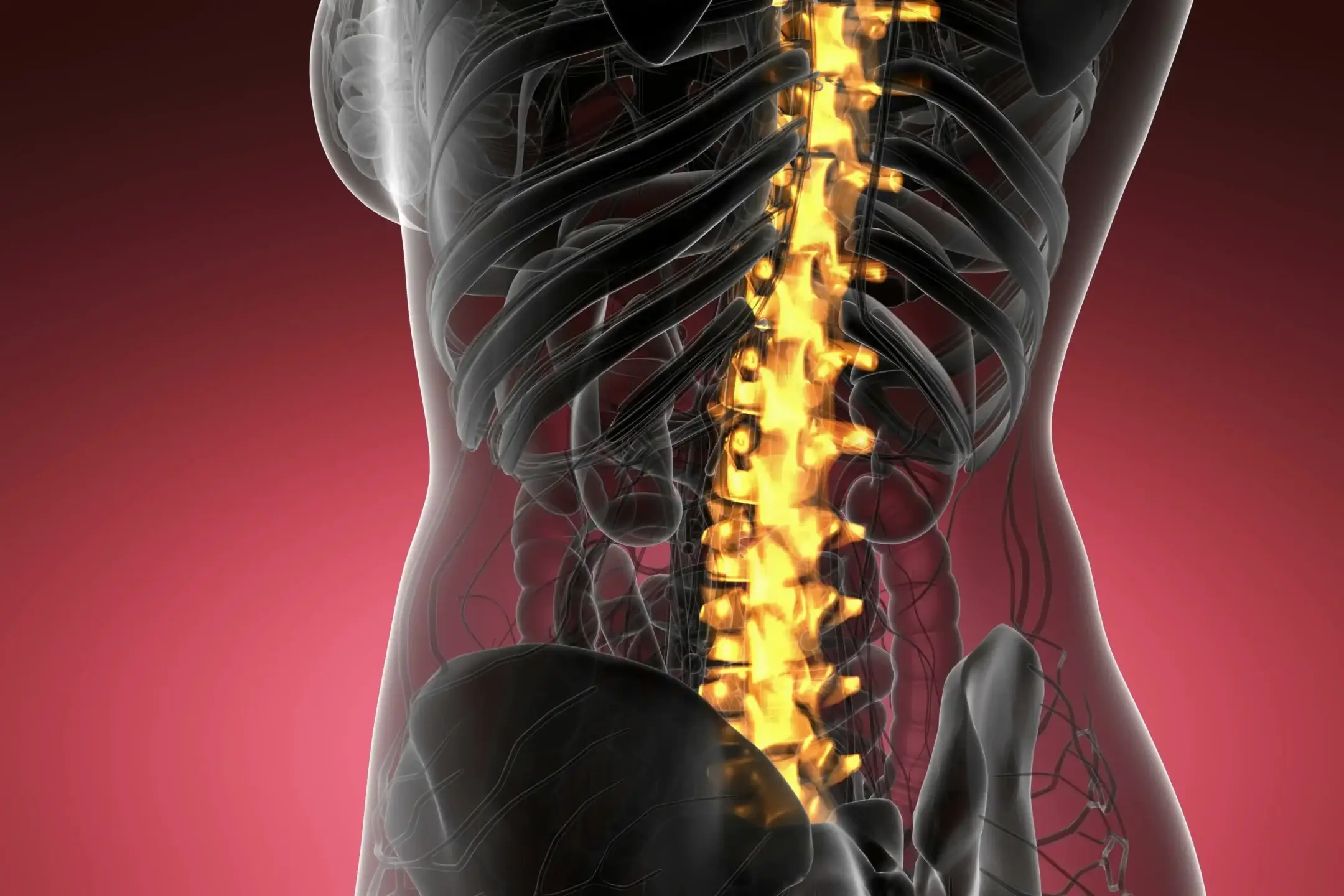 inversion table benefits